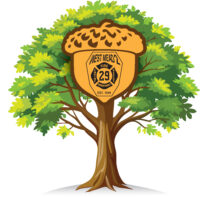 oak tree_ACORN_west mead 2 vfd