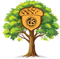 oak tree_ACORN_cfs