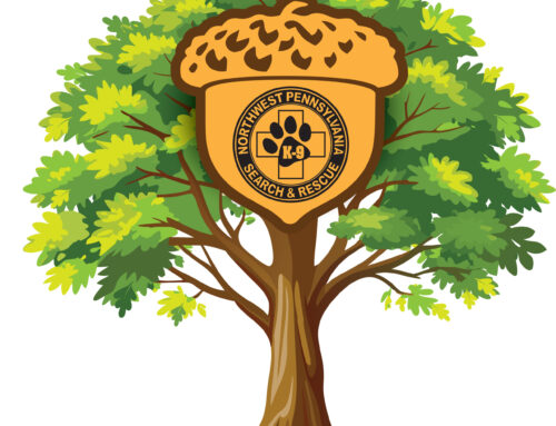 Celebrating 80 Years – August Charity Donation