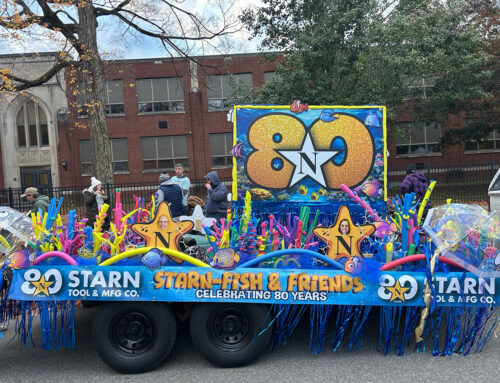 Starnfish and Friends